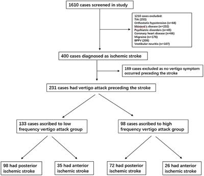 New Insights Into Vertigo Attack Frequency as a Predictor of Ischemic Stroke